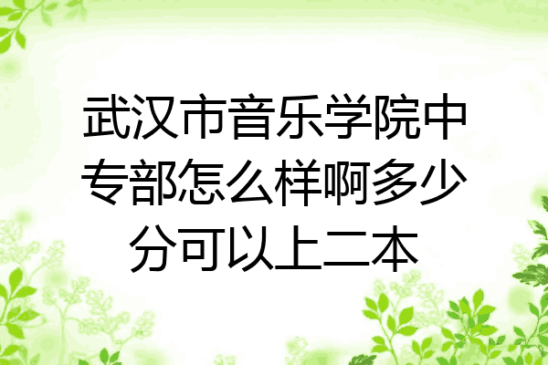 武汉市音乐学院中专部怎么样啊多少分可以上二本