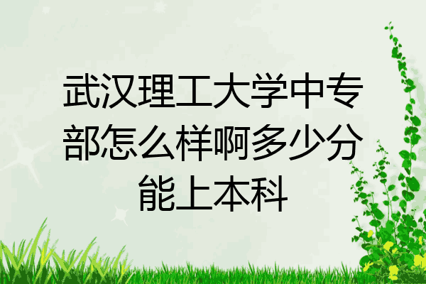 武汉理工大学中专部怎么样啊多少分能上本科