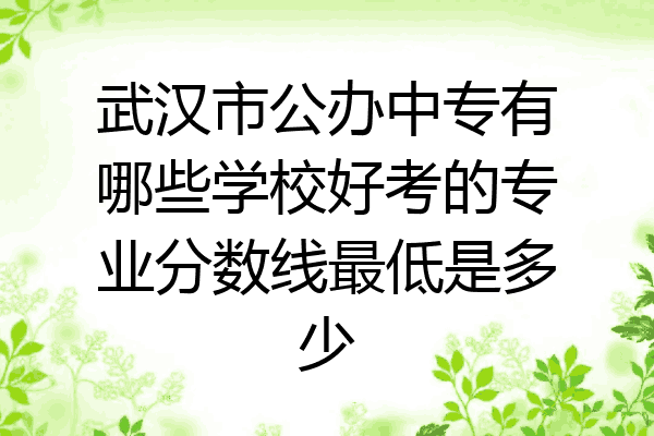 武汉市公办中专有哪些学校好考的专业分数线最低是多少