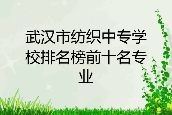 武汉市纺织中专学校排名榜前十名专业
