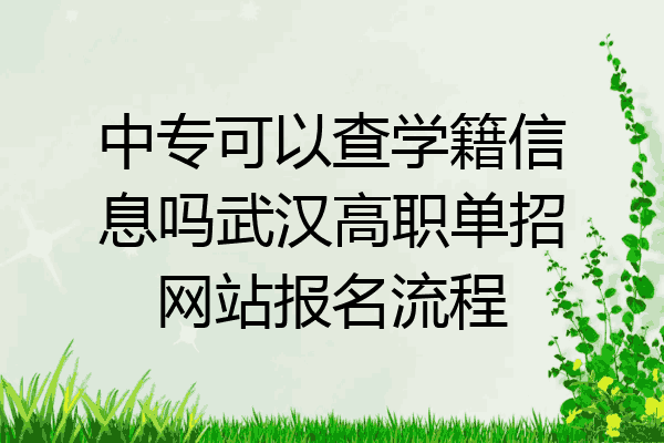中专可以查学籍信息吗武汉高职单招网站报名流程