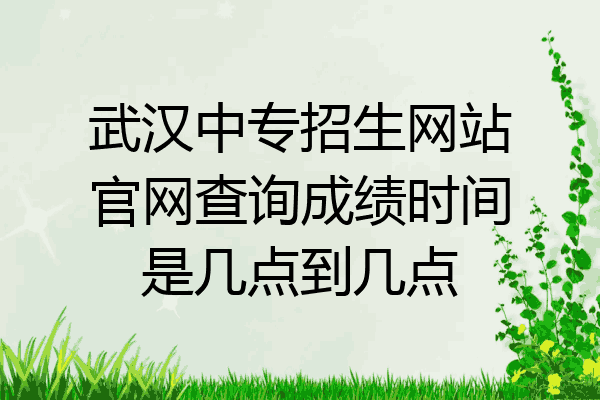武汉中专招生网站官网查询成绩时间是几点到几点