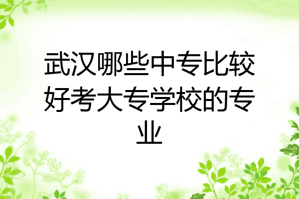武汉哪些中专比较好考大专学校的专业