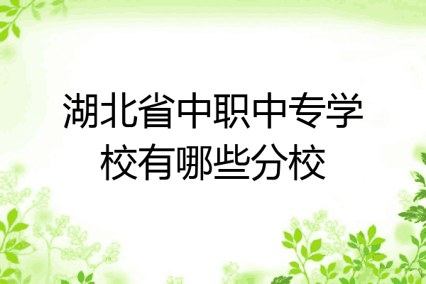 湖北省中职中专学校有哪些分校