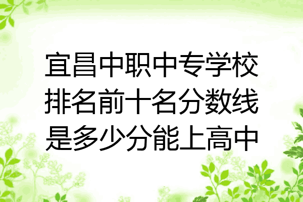 宜昌中职中专学校排名前十名分数线是多少分能上高中