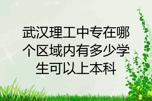 武汉理工中专在哪个区域内有多少学生可以上本科