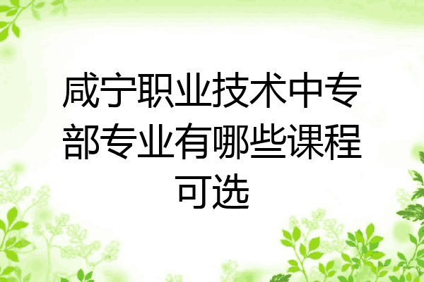 咸宁职业技术中专部专业有哪些课程可选