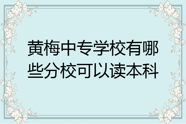 黄梅中专学校有哪些分校可以读本科