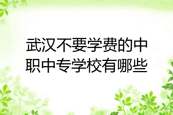 武汉不要学费的中职中专学校有哪些