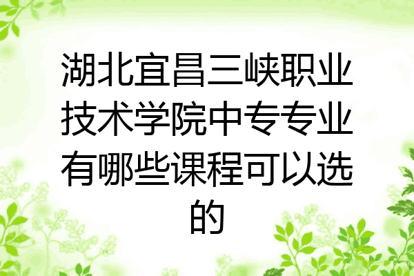 湖北宜昌三峡职业技术学院中专专业有哪些课程可以选的