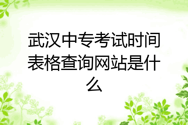 武汉中专考试时间表格查询网站是什么