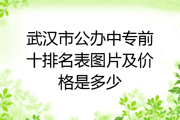 武汉市公办中专前十排名表图片及价格是多少