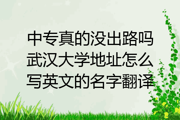 中专真的没出路吗武汉大学地址怎么写英文的名字翻译