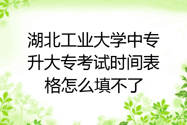 湖北工业大学中专升大专考试时间表格怎么填不了