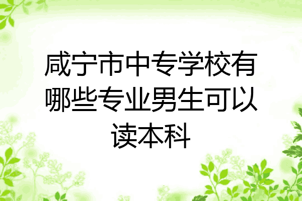 咸宁市中专学校有哪些专业男生可以读本科
