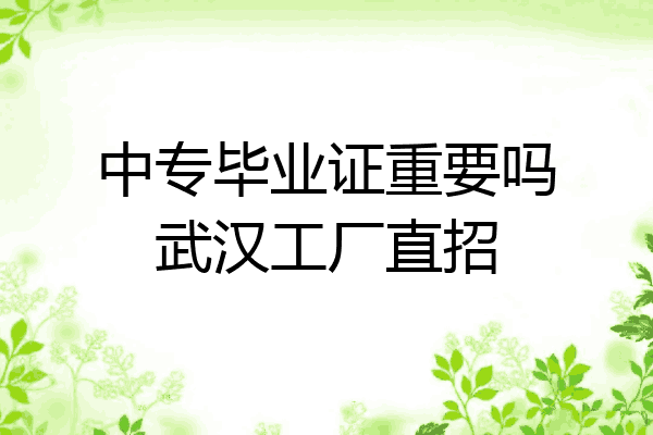中专毕业证重要吗武汉工厂直招