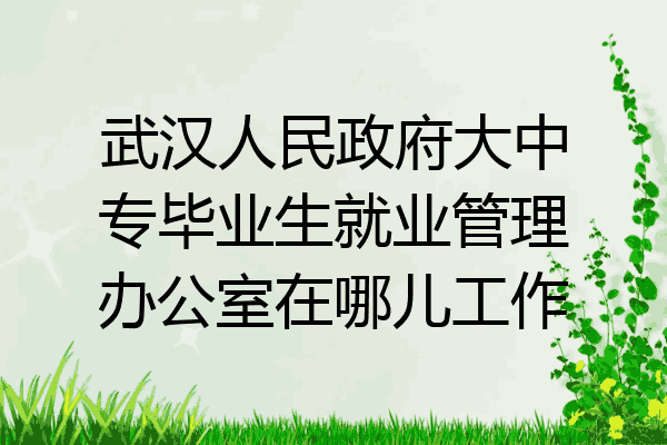 武汉人民政府大中专毕业生就业管理办公室在哪儿工作