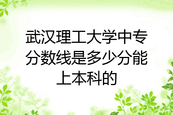 武汉理工大学中专分数线是多少分能上本科的