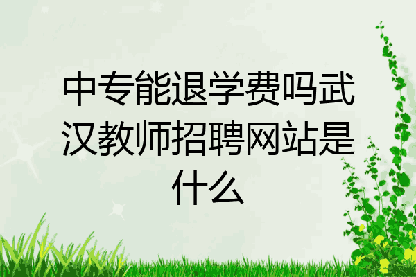 中专能退学费吗武汉教师招聘网站是什么