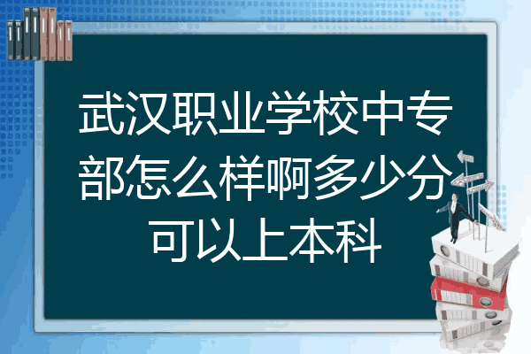 武汉职业学校中专部怎么样啊多少分可以上本科