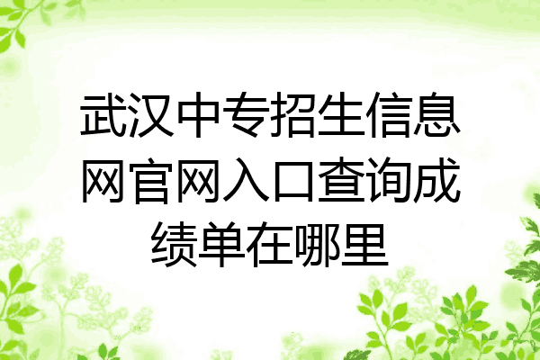 武汉中专招生信息网官网入口查询成绩单在哪里