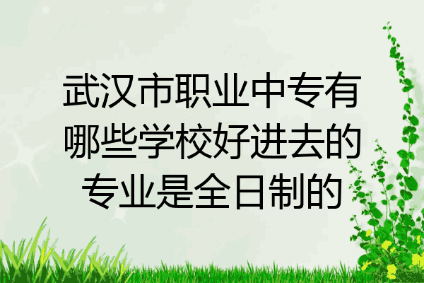 武汉市职业中专有哪些学校好进去的专业是全日制的