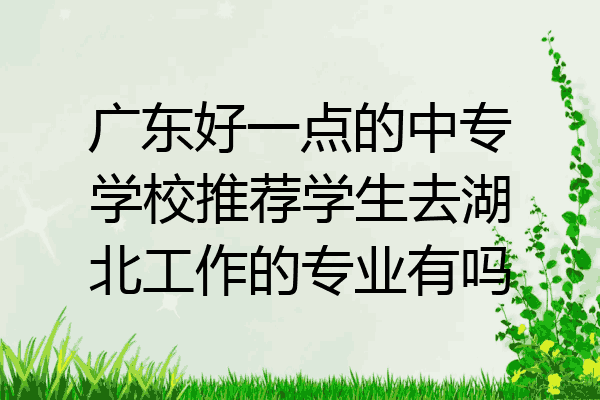 广东好一点的中专学校推荐学生去湖北工作的专业有吗