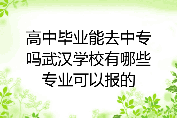 高中毕业能去中专吗武汉学校有哪些专业可以报的