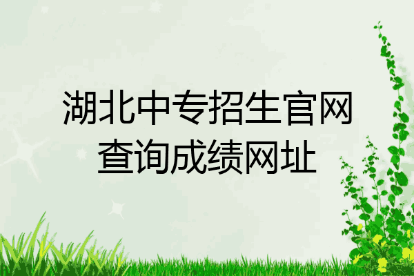 湖北中专招生官网查询成绩网址