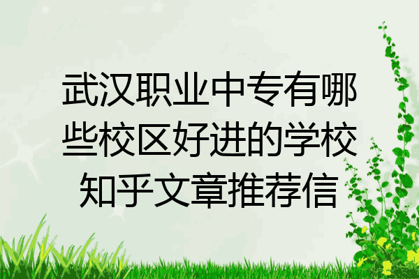 武汉职业中专有哪些校区好进的学校知乎文章推荐信