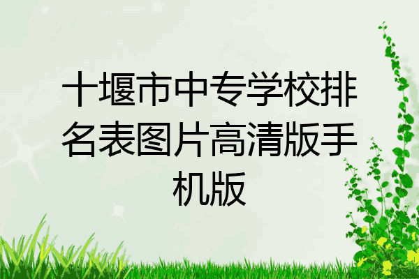 十堰市中专学校排名表图片高清版手机版