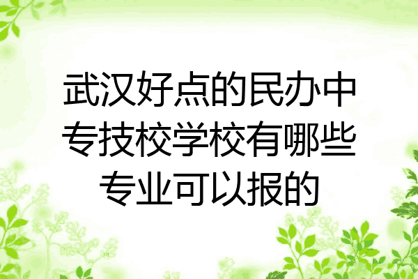 武汉好点的民办中专技校学校有哪些专业可以报的
