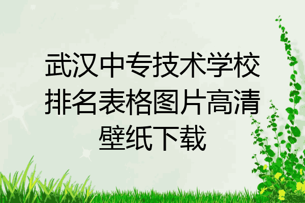 武汉中专技术学校排名表格图片高清壁纸下载