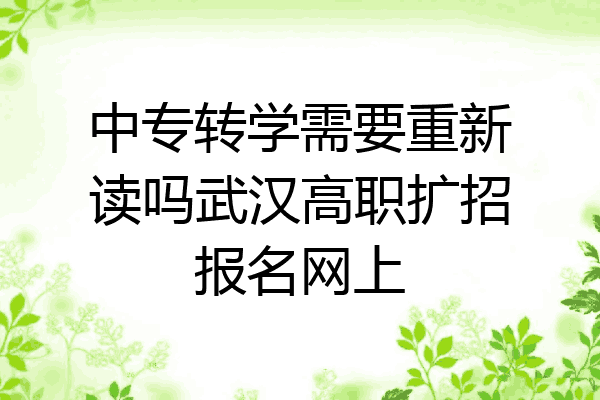 中专转学需要重新读吗武汉高职扩招报名网上