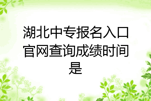 湖北中专报名入口官网查询成绩时间是