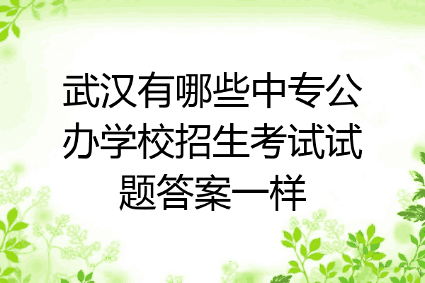 武汉有哪些中专公办学校招生考试试题答案一样