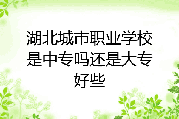 湖北城市职业学校是中专吗还是大专好些