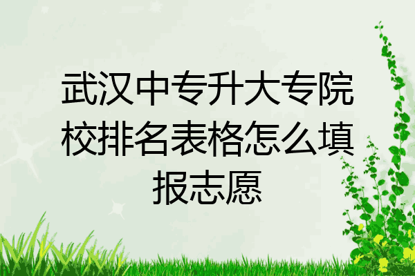 武汉中专升大专院校排名表格怎么填报志愿