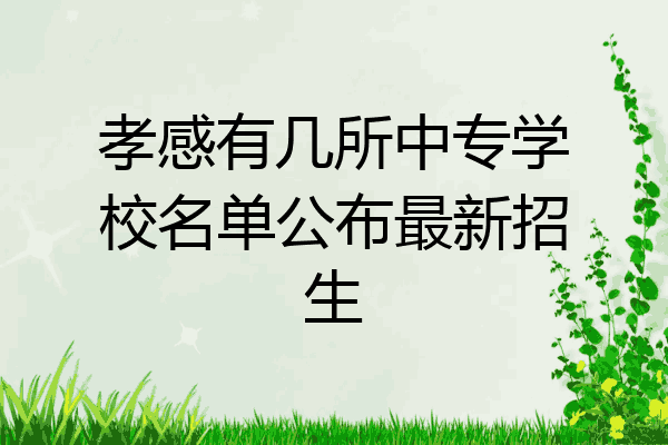 孝感有几所中专学校名单公布最新招生