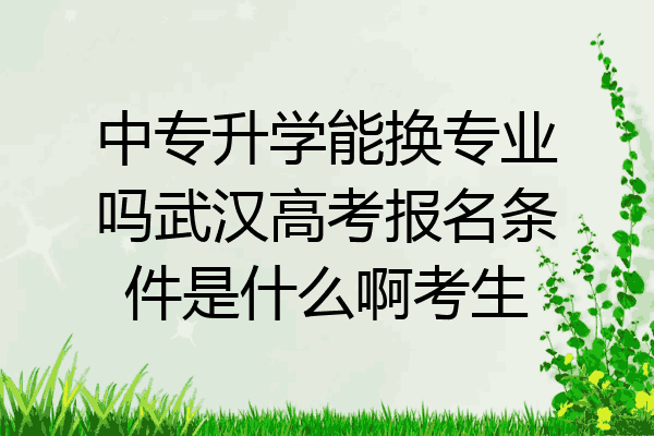 中专升学能换专业吗武汉高考报名条件是什么啊考生