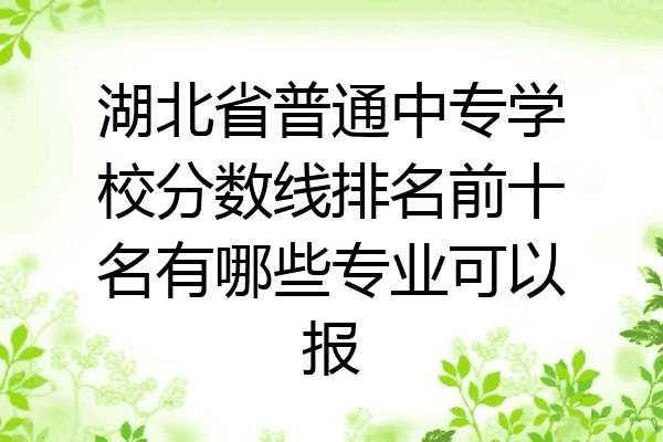 湖北省普通中专学校分数线排名前十名有哪些专业可以报