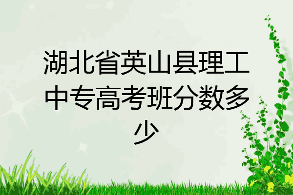 湖北省英山县理工中专高考班分数多少