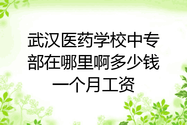 武汉医药学校中专部在哪里啊多少钱一个月工资