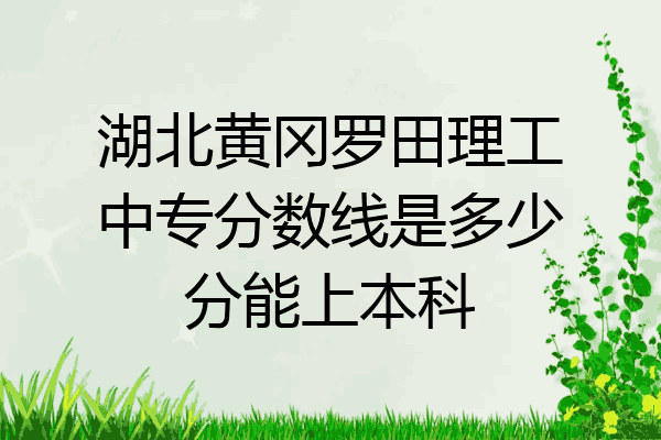 湖北黄冈罗田理工中专分数线是多少分能上本科
