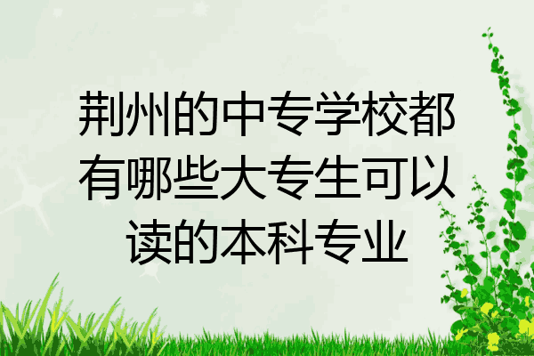 荆州的中专学校都有哪些大专生可以读的本科专业