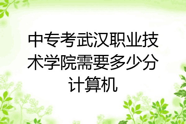 中专考武汉职业技术学院需要多少分计算机