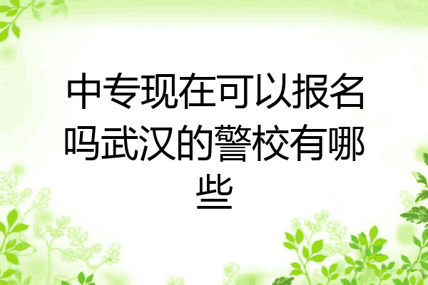 中专现在可以报名吗武汉的警校有哪些