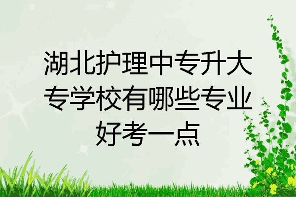 湖北护理中专升大专学校有哪些专业好考一点