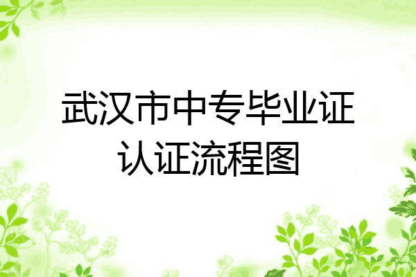 武汉市中专毕业证认证流程图