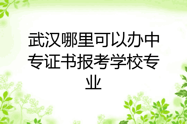 武汉哪里可以办中专证书报考学校专业
